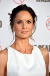 Sarah Wayne Callies