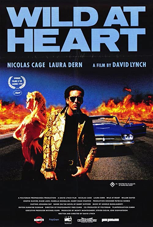 دانلود فیلم Wild at Heart 1990 ( از ته دل وحشی ۱۹۹۰ ) با زیرنویس فارسی چسبیده