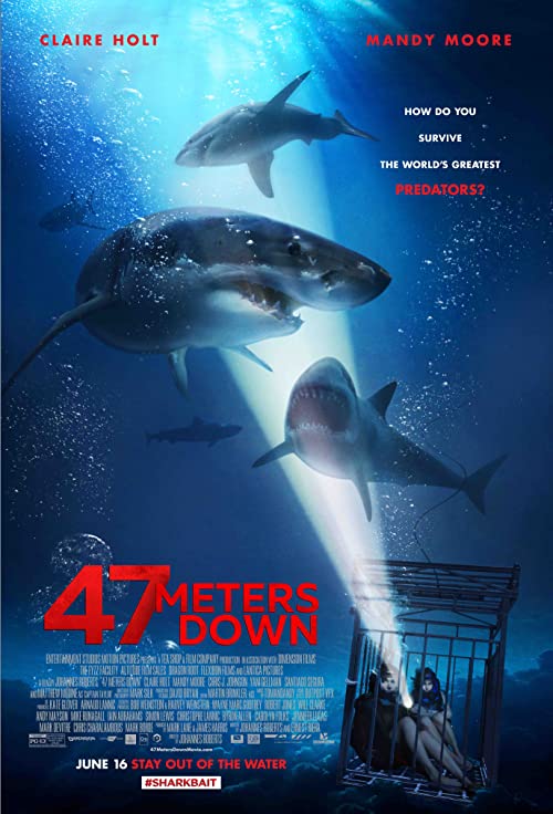 دانلود فیلم In the Deep (47 Meters Down) 2016 ( ۴۷ متر پایین ) با زیرنویس فارسی چسبیده