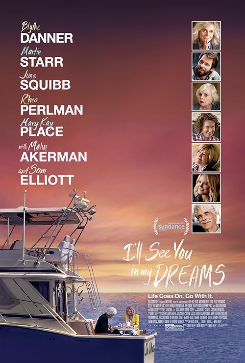 دانلود فیلم I’ll See You in My Dreams 2015 ( من تو را در رویاهایم خواهم دید ) با زیرنویس فارسی چسبیده