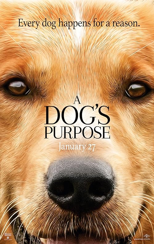 دانلود فیلم A Dog’s Purpose 2017 ( هدف یک سگ ۲۰۱۷ ) با زیرنویس فارسی چسبیده