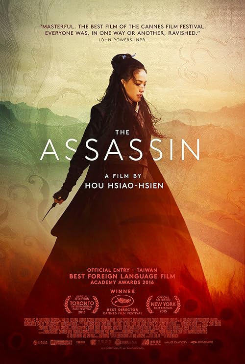 دانلود فیلم The Assassin 2015 ( آدم‌کش ۲۰۱۵ ) با زیرنویس فارسی چسبیده